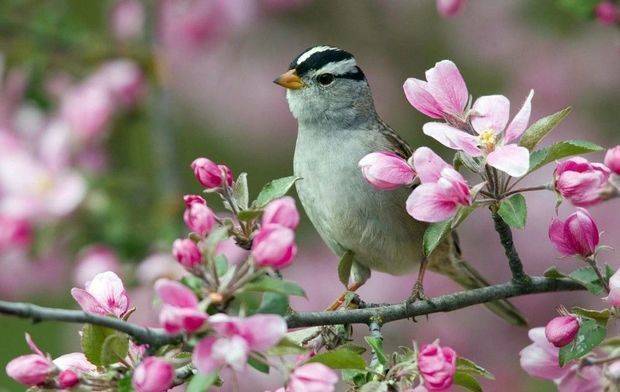 Завтра в Азербайджане местами ожидается туман