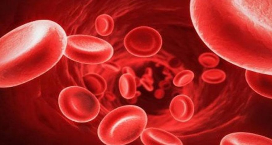 Ученые выяснили происхождение гемоглобина