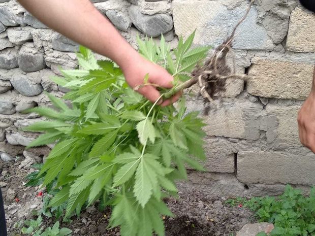 Ağdaş sakininin üzərində və yaşadığı evdə narkotik aşkarlandı - FOTO