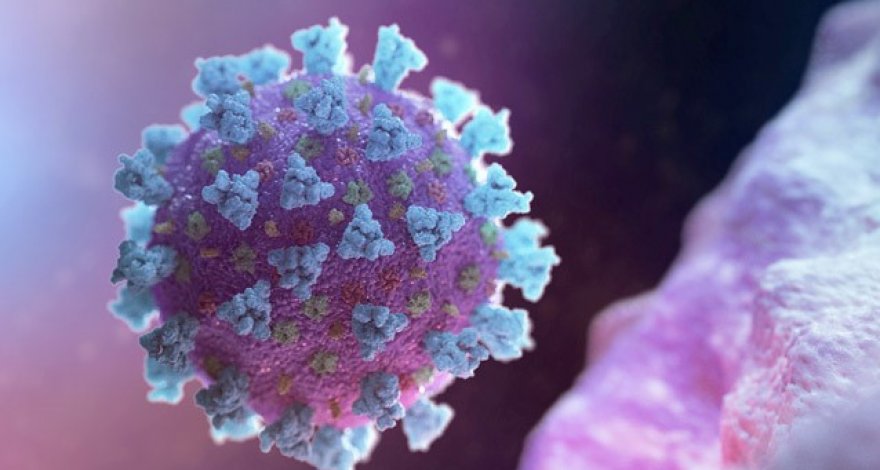 Раскрыта правда о смертоносности коронавирусов-мутантов