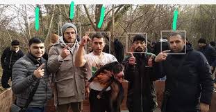 Azərbaycanda vəhşilik: Narkotik iynə vuraraq itləri bir-birlərinə yedirdirlər - VİDEO