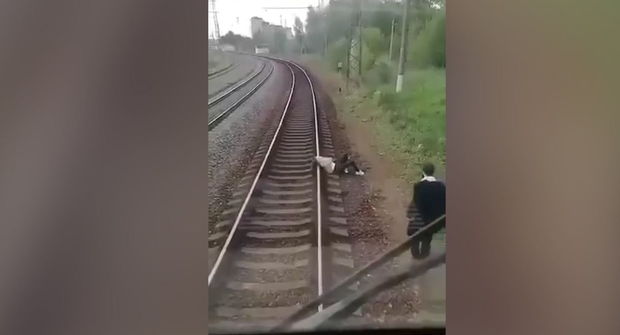 İntihar etmək istəyən qızın möcüzəvi qurtuluşu - VİDEO