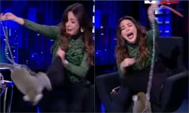 Meymun aparıcının üstünə cumdu, studiyada aləm qarışdı - VİDEO