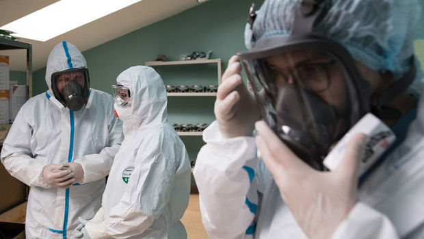 В Украине число выявленных случаев коронавируса достигло 24 340