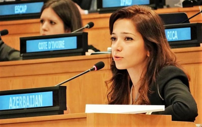 Xalça satdığı iddia olunan səfirin Nyu-Yorkda da mənzilləri üzə çıxdı — Həyat yoldaşı danışdı