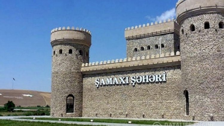 Şamaxıda kənd təsərrüfatına xüsusi diqqət göstərilir: 320 hektardan çox sahədə kartof əkilib