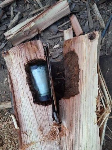 43 il sonra şam ağacından görün nə çıxdı: 150 illik evin... - FOTOLAR