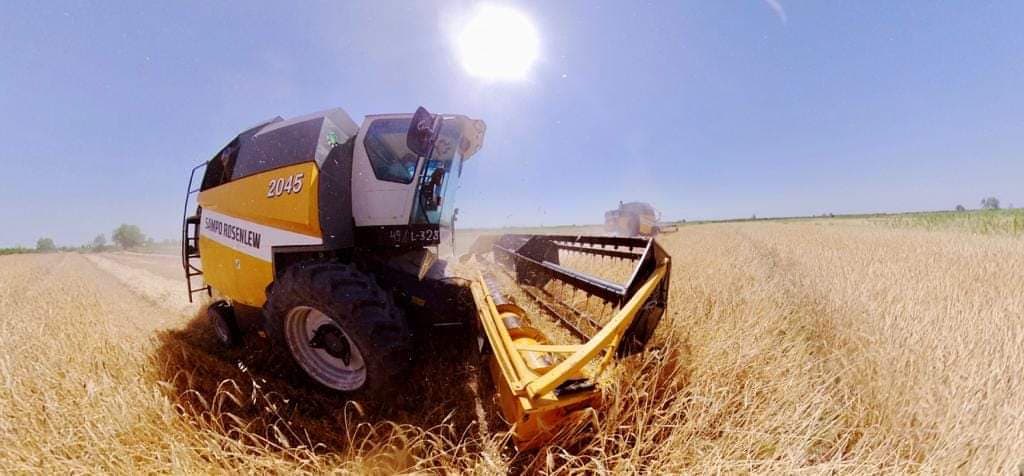 SAATLIDA ARPA ÜZRƏ MƏHSULDARLIQ - 37,9 SENTNERƏ ÇATIB