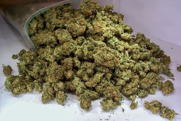 У жителя Баку изъято более 6 кг наркотиков