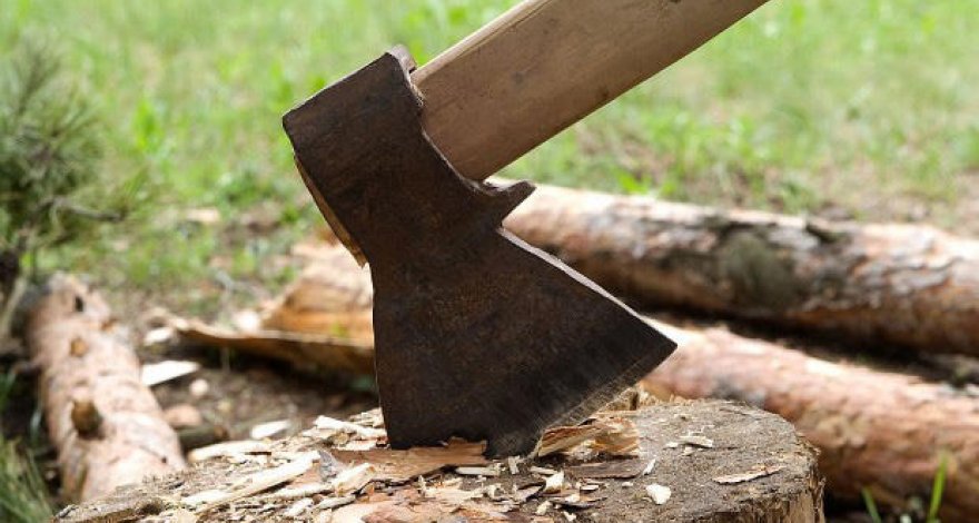 В Баку владелец объекта крупно оштрафован за вырубку деревьев