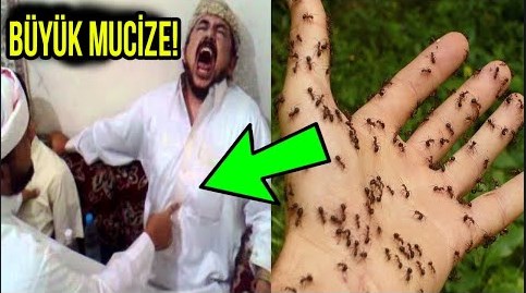 Evdə qarışqa olmağının səbəbini öyrəndikdə, şoka düşəcəksiniz-VİDEO