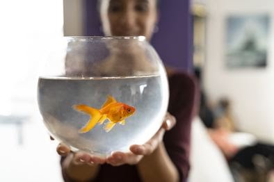 SON DƏQİQƏ: Sərt karantində balığı ilə küçəyə çıxdı: 