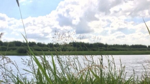 В России четыре человека погибли, спасая тонущую девочку