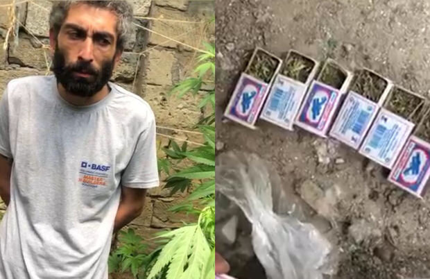 Bakıda narkotik bitkilər əkib-becərən şəxs tutuldu - FOTO