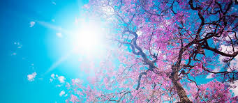 Sabah 36 dərəcə isti olacaq