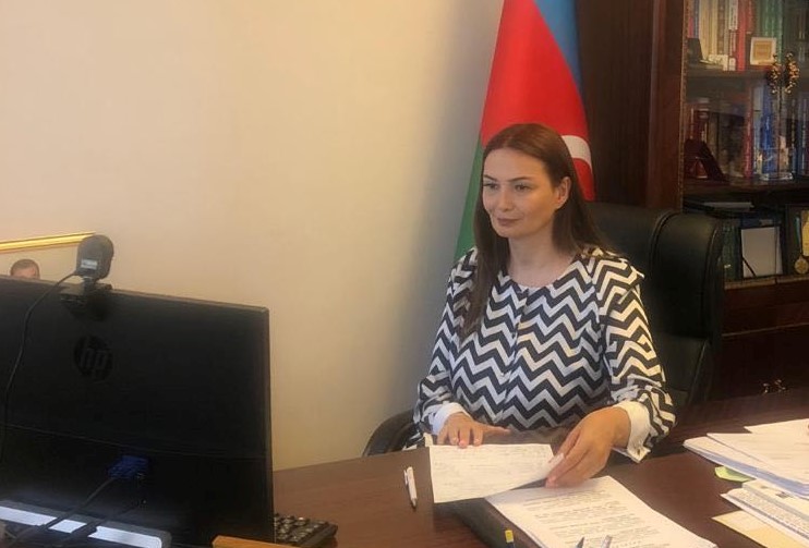 Qənirə Paşayeva 1 həftədə 200-dən çox seçicisi ilə online görüşüb