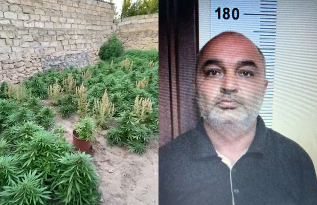 Bakı sakini 64 kiloqram narkotiklə tutuldu - FOTO