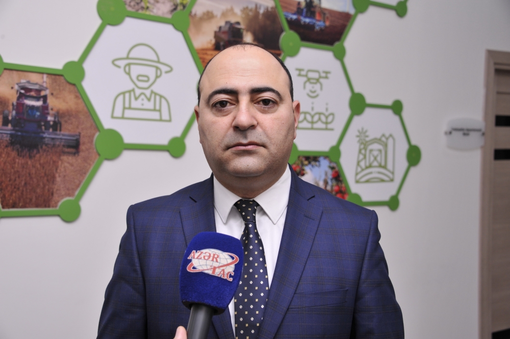 Sərt karantin günlərində kənd təsərrüfatı məhsullarının bazarlara daşınmasında problem olmayacaq- AÇIQLAMA