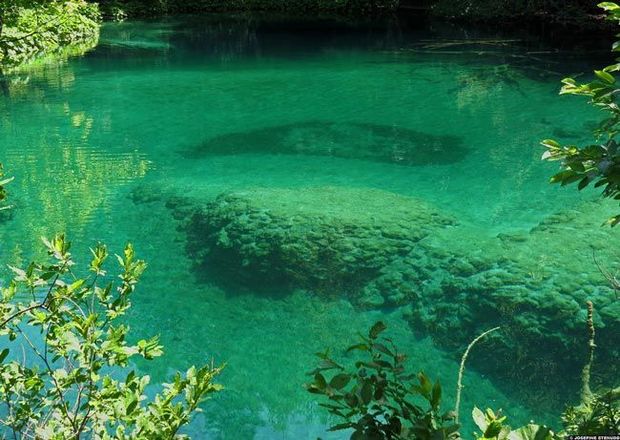 Koronavirus təbii su hövzələrində 25 günə qədər qala bilər