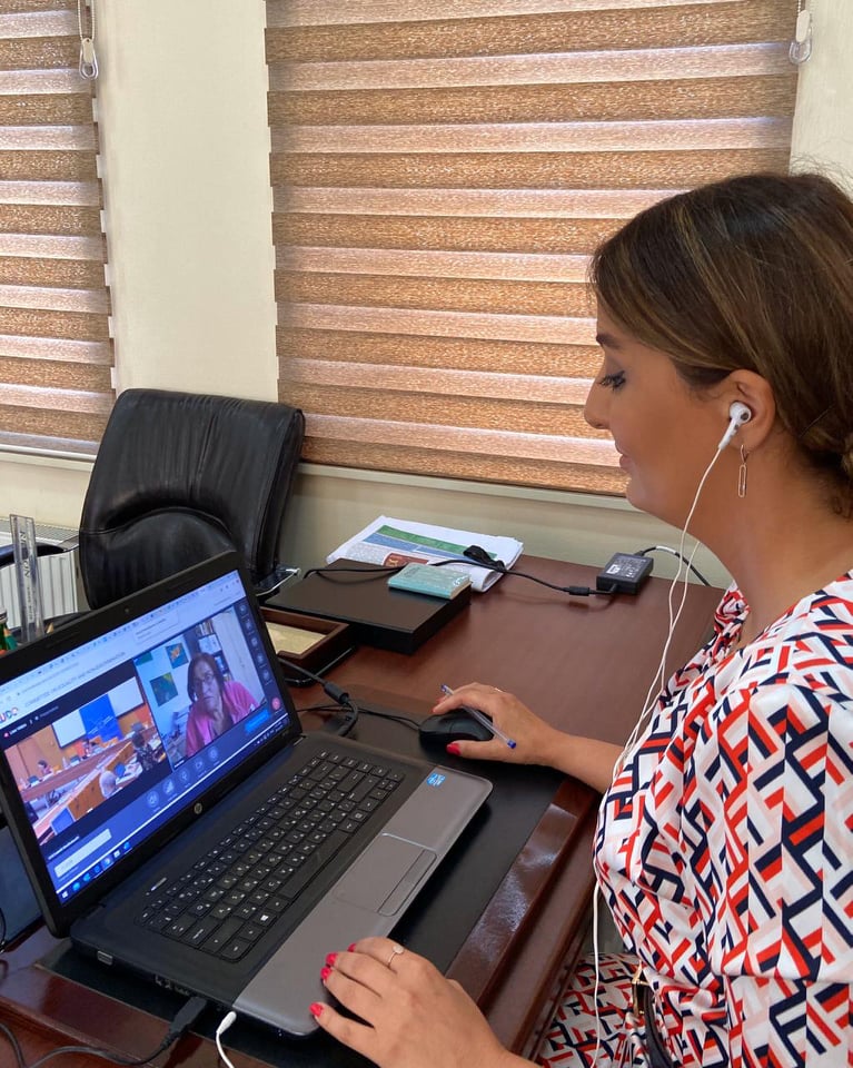 Könül Nurullayeva AŞPA-nın Bərabərlik və Ayrı-seçkilik Komitəsinin videokonfransında çıxış edib