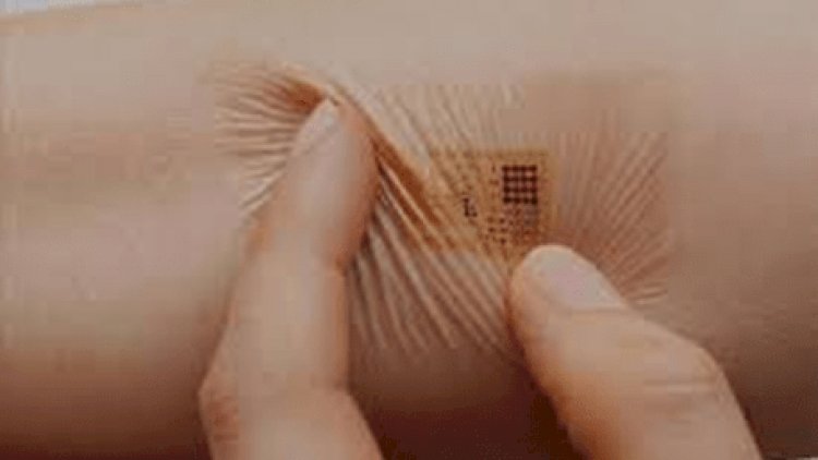 İnsanlara niyə çip taxmaq istəyirlər? – İnanılmaz səbəblər