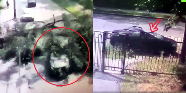 Hərəkətdə olan maşının üstünə ağac aşdı - ANBAAN VİDEO