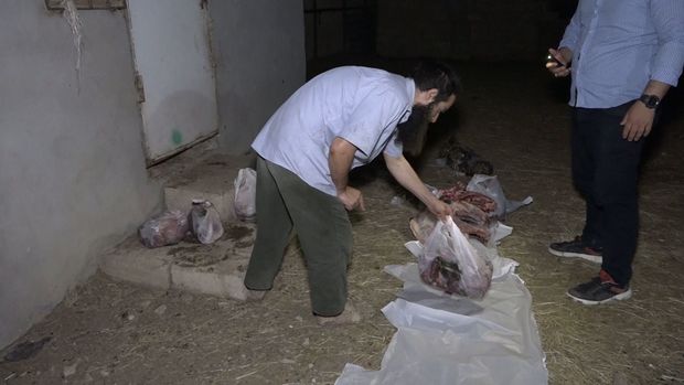 Bakıda 150 kiloqram kəsilmiş at əti aşkarlandı - VİDEO