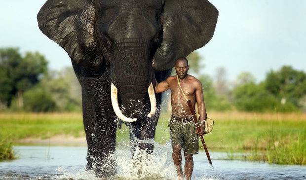 Afrikada yayılmış epidemiya alimləri çaş-baş qoyub - FOTO