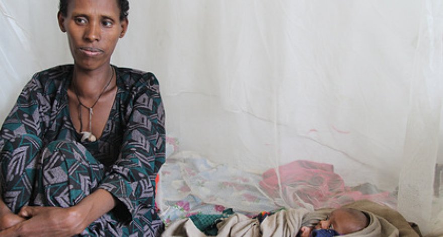 Число голодающих на планете превысит миллиард человек