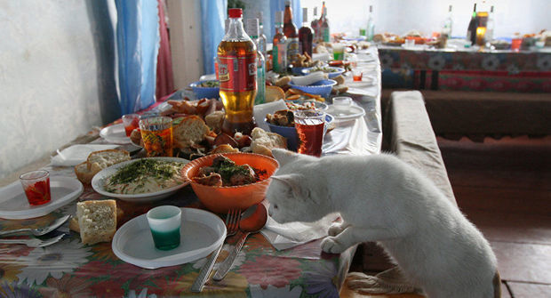 В Ширване оштрафовали организатора и участников застолья - ВИДЕО