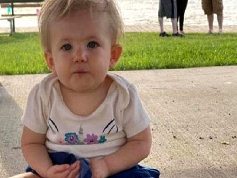 Pitbull körpəni PARÇALADI - FOTO