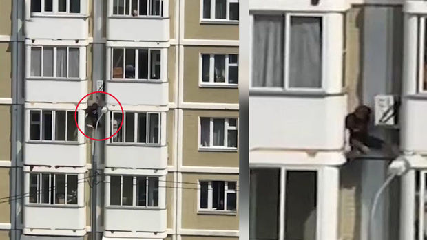 Qonaqlıqdan qayıdan “hörümçək adam” saxlanıldı - VİDEO