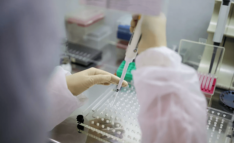 Meksikada bir gündə 6149 nəfər COVID-19-a yoluxub