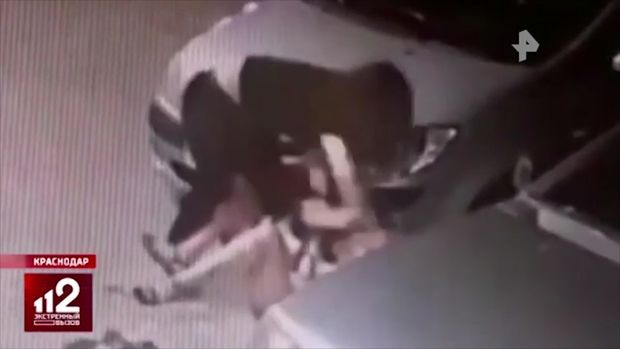 Yumurta oğurlayan qadınlar satıcını döydülər - VİDEO