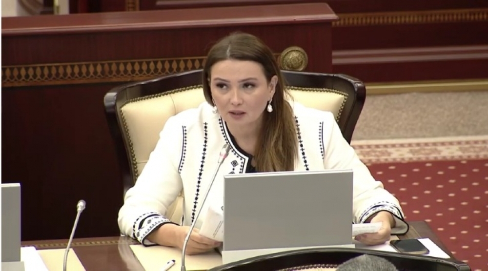 Qənirə Paşayeva: Ermənistanın hərbi təxribatı beynəlxalq təşkilatlar tərəfindən birmənalı şəkildə pislənildi