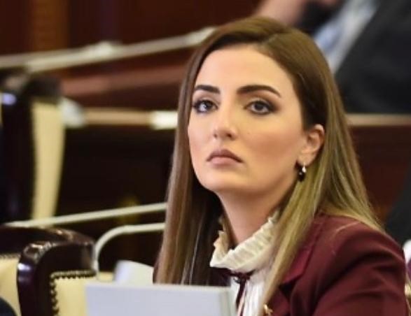 Millət vəkili İslam dünyasının diqqətini Ermənistanın sərhəddə törətdiyi təxribata yönəltdi