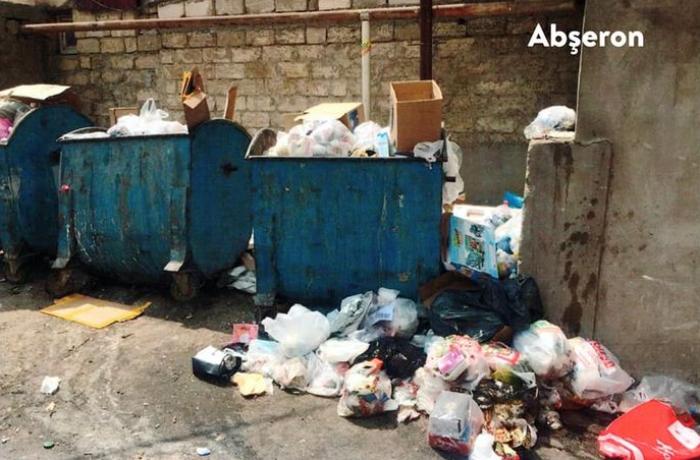 Ətraf mühitə ziyan vuran 6 vəzifəli, 4 fiziki şəxs məsuliyyətə cəlb olundu - FOTOLAR