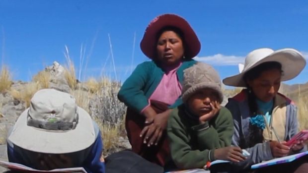 Onlayn dərs üçün hər gün dörd kilometr yüksəyə çıxırlar - VİDEO