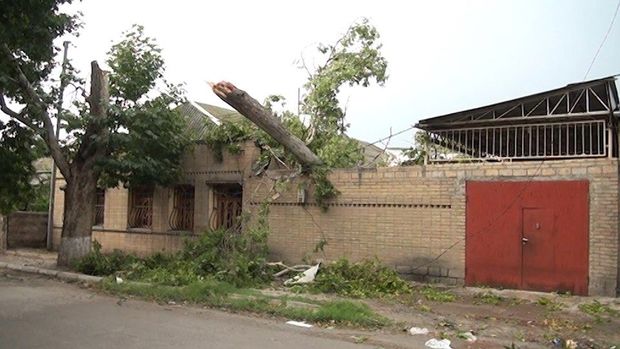 Gəncədə güclü külək ağacı evin üzərinə aşırdı - FOTO/VİDEO