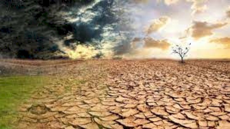 Alimlərdən daha bir xəbərdarlıq: Əgər isti külək əsirsə...