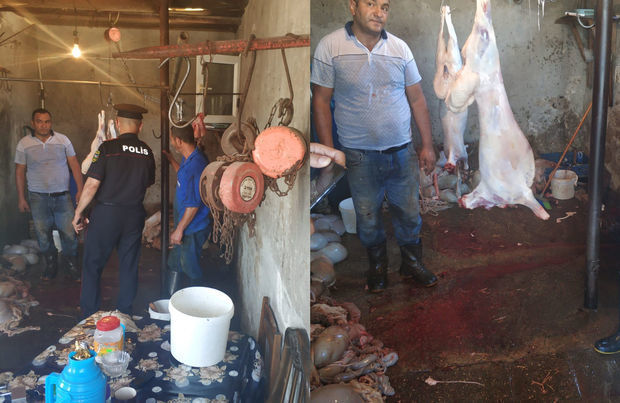 В абшеронском поселке выявлена незаконно функционирующая мясная лавка - ФОТО