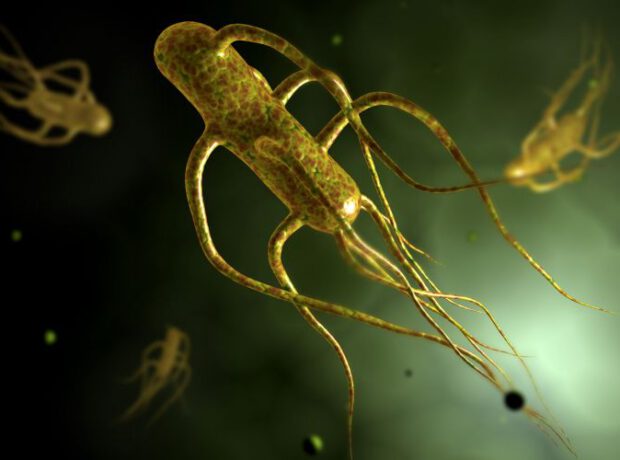 Koronavirusdan daha DƏHŞƏTLİ VİRUS GƏLİR: 72 saat…