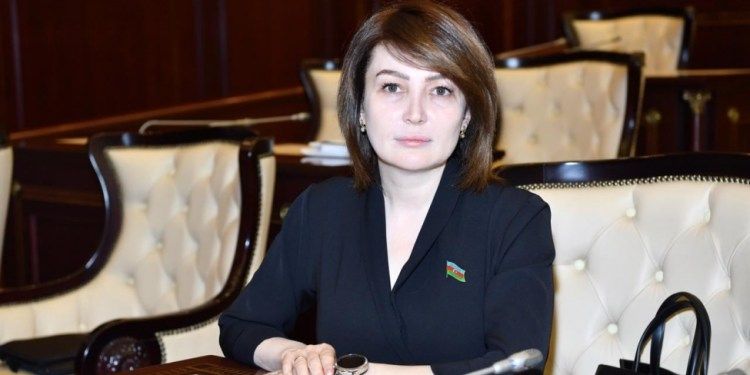 Vinq Çundan parlamentə... — Seçici Jalə Əhmədovanı tanıyırmı?