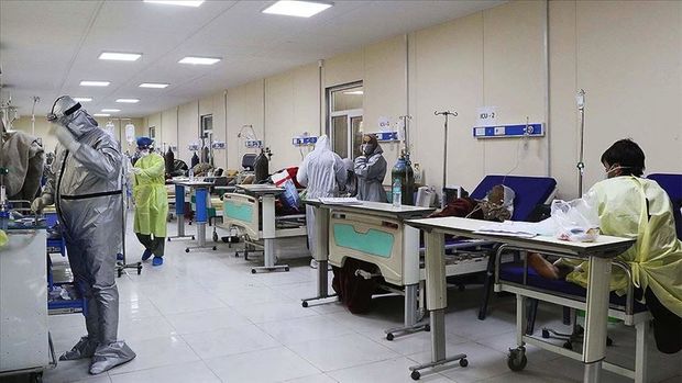 Əfqanıstanda koronavirus xəbərdarlığı: 10 milyon insan virusa yoluxub