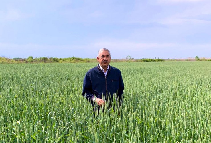 “Ayın fermeri” müsabiqəsinin qalibi müəyyənləşib