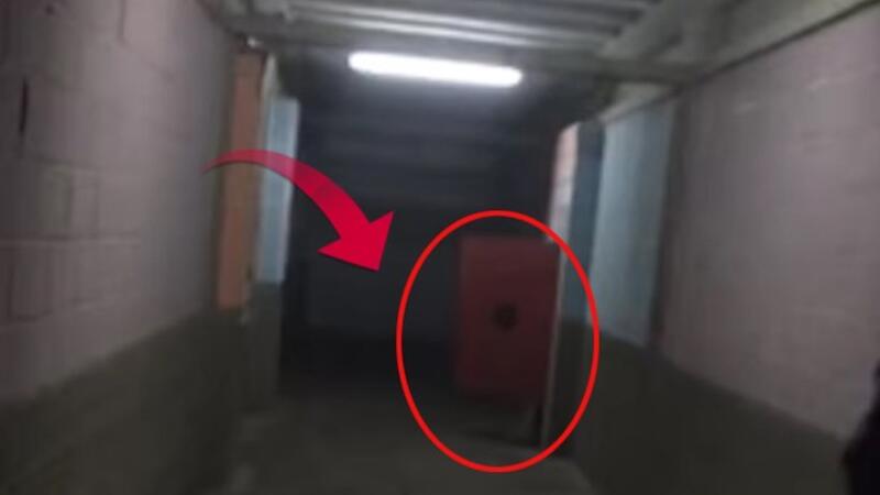 Morqa kamera qoydular — Qorxunc görüntü qeydə alındı (18+VİDEO)