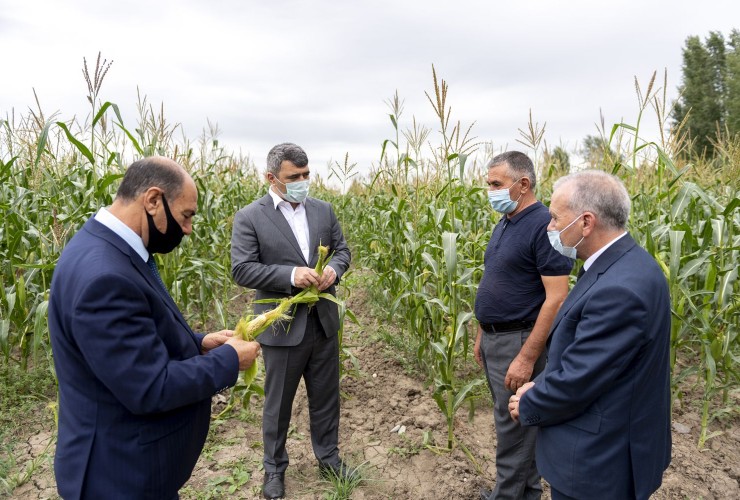 Kənd Təsərrüfatı naziri İnam Kərimov Bərdə, Tərtər, Füzulidə əkin sahələri və meyvə bağlarına baxış keçirib
