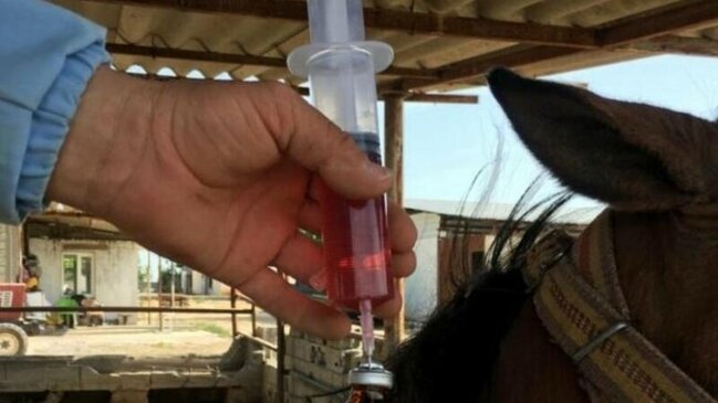 COVİD-19 serumu hazırlandı - 6 həftə sonra...