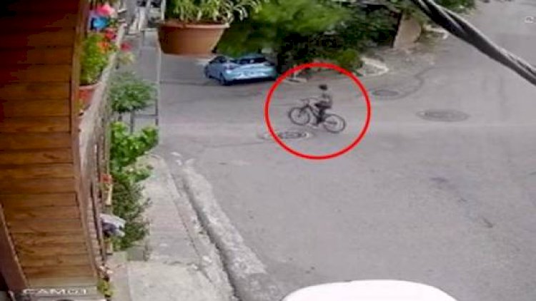Velosipedli uşağın üzərinə ağac aşdı - ANBAAN VİDEO