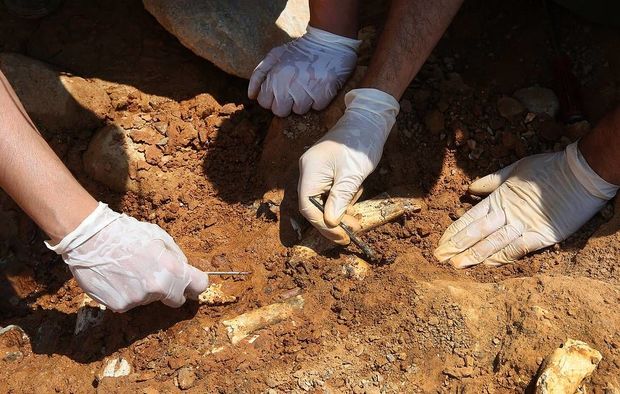 В Израиле нашли следы самой древней кремации
